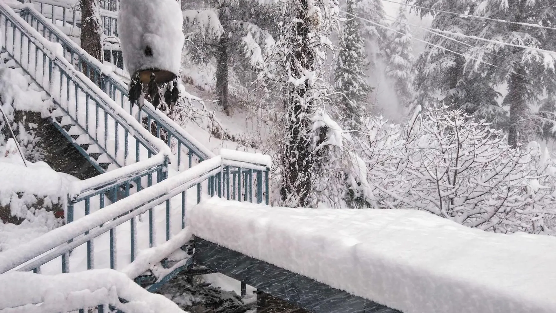 Homestay Saroga Woods Home Stay Shimla India